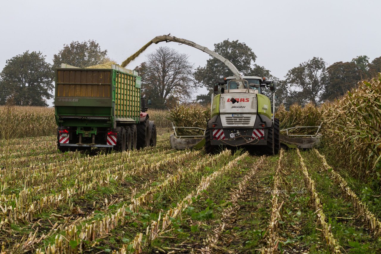 Bild 143 - Biogas am 21.10.12